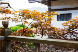 函館のすき焼き専門店・精肉店「阿佐利本店」